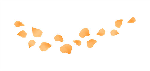 Yellow flying petals isolated on White background. Flower Roses petals. Vector