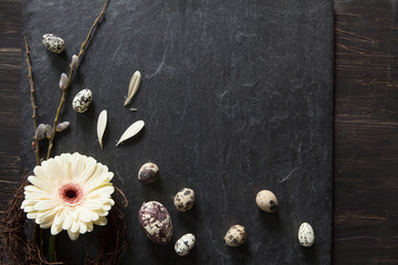 Simple easter decoration with eggs, yellow gerbera flower in a wreath and fluffy willow on dark stone with flying petals
