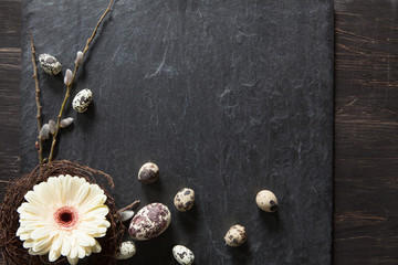 Easter background with dark stone, gerbera flower in a wreath, fluffy willow and natural eggs