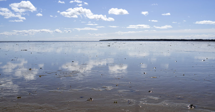 Laesoe / Denmark: View over the wide mudflat at Bovet Bugt at low-tide