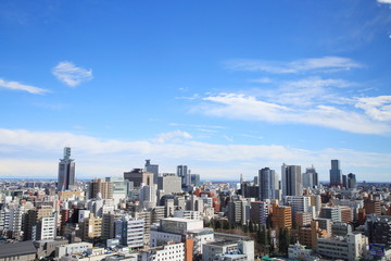 Fototapeta na wymiar City of Sendai
