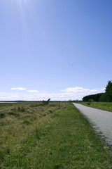 Laesoe / Denmark: Well-developed foot and bike path along the road between Byrum and Oesterby at the edge of the salt marshes at Bovet Bugt