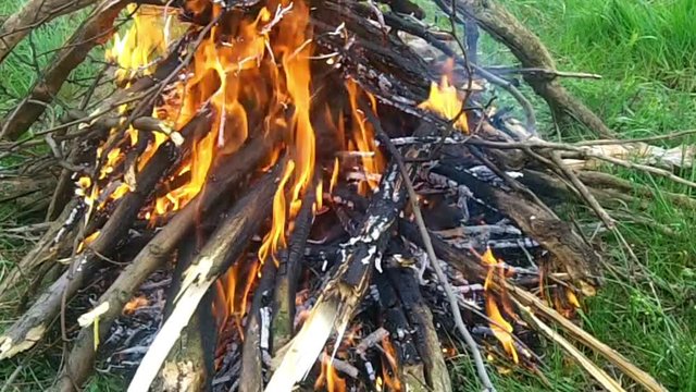 fire on, green grass