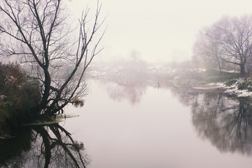 Landscape on the river with fog
