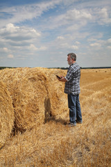 Naklejka na ściany i meble Farmer or agronomist in wheat field after harvest examining bale, rolled straw, using tablet