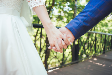 The bride and groom holding hands for a walk in the park. Closeup.