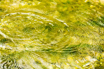 Circles on the smooth surface of the water on the river