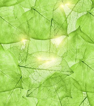 Dark Green Leaves Background