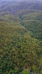 Gebirge Blue Mountains in New South Wales, Australien