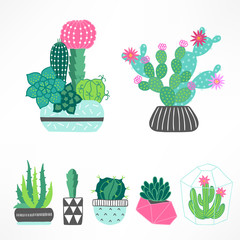 Set of cactuses and succulents with pots in Green, Turquoise