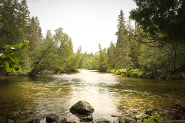 Rivière au Québec