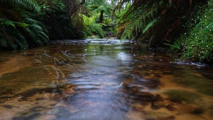 Fototapeta premium Wasserfall in den Blue Mountains in Australien, New South Wales