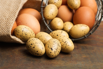 Huevos de gallina y codorniz