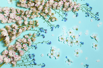 Spring aqua blue background with white blooming chestnut, apple and forget-me-not flowers, close-up top flat view, arc composition