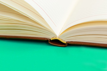 open notebook on green background