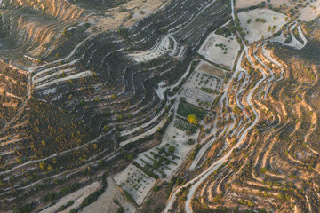 aerial morning view landscape of the Greek side of Cyprus showing terracing farming and a nice lit tree in the centre of the image