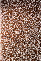 A snowflake on a brown fence as a background