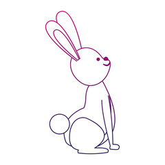 Cute rabbit cartoon icon vector illustration graphic design