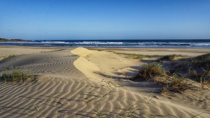 Fototapeta na wymiar Wüste | Sandwüste am Birubi Beach, Port Stephens, NSW, Australien