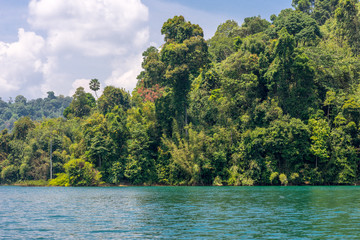 The national park Khao Sok with the Cheow Lan Lake is the largest area of virgin forest in the south of Thailand. Limestone rocks, jungle and karst formations determine the picture of the Park