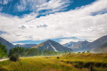 Pastoral alpine scenery on the unsealed road between Glenorchy and Paradise in New Zealand