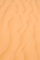 Detail der Wüste Sahara