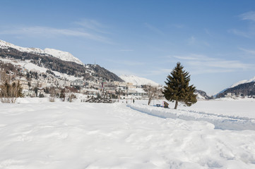 St. Moritz, Dorf, Engadiner Dorf, St. Moritzersee, Bergsee, Engadin, Oberengadin, Corviglia, Winter, Wintersport, Winterwanderung, Alpen, Graubünden, Schweiz