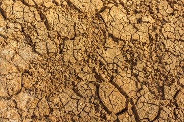 a dry earth with many cracks in sunshine as a background