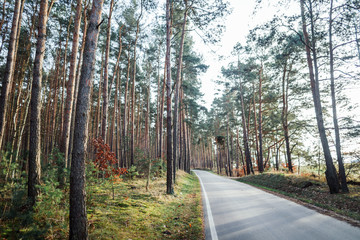 Fototapeta premium Ausflug zum Wolletzsee bei Angermünde