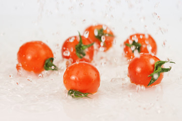 Tomatoes with water splash on wite.