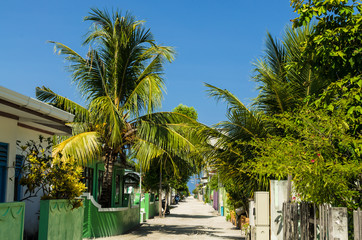The central street of the Huraa island with one-story houses and tall palm trees overlooking the Indian Ocean, Kaafu Atoll, Kuda Huraa Island, Maldives