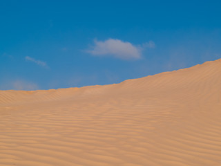 Fototapeta na wymiar Douz-Tunisia, Sahara desert in southern Tunisia, sand dunes