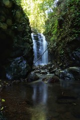 Wasserfall im Lamington Nationalpark im Regenwald, Queensland, Australien 