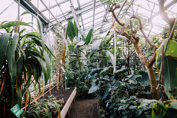 Gewächshäuser des Botanischen Gartens der Universität Greifswald