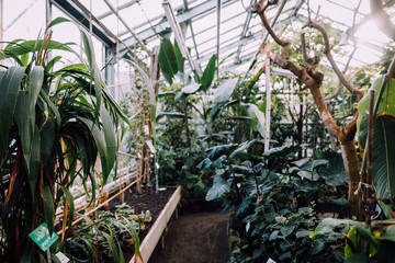 Gew&auml;chsh&auml;user des Botanischen Gartens der Universit&auml;t Greifswald
