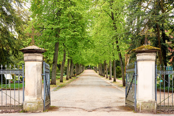 Eingangstor zum Friedhof in Coburg, Baumallee © reimax16