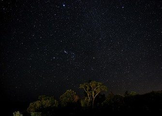 Sterne am Himmel, Milchstraße über Australien © franziskahoppe