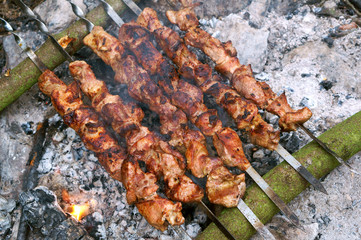 Barbecue on the nature. Cook meat on coals on a fire on skewers. To have a rest on the nature.