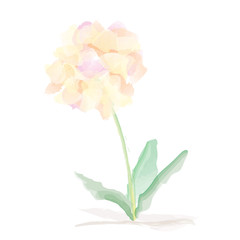 Fototapeta premium Watercolor Vector Flowers