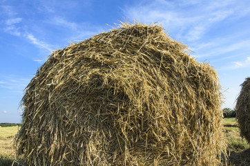 a haystack on the field in the summer against a blue sky background