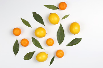 tangerines and lemons with leaves on a white background