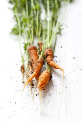 fresh carrotson a white wooden background