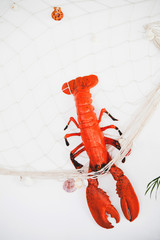 lobster decoration in fishing net