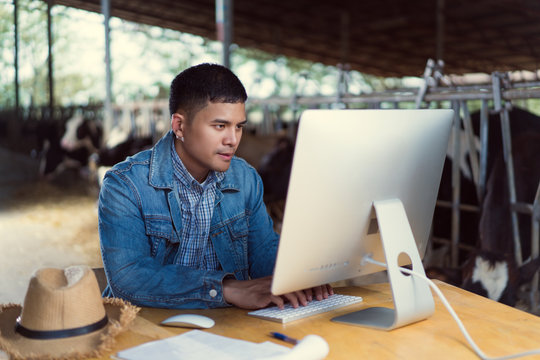 Farmer Is Using The Computer For Farm Information. To Sell Milk Online