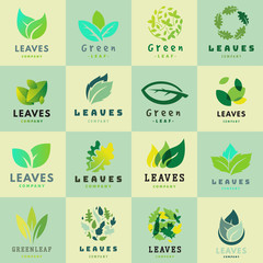Green leaf eco design friendly nature elegance symbol and natural element ecology organic vector illustration.