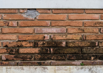 Texture of old brick wall background