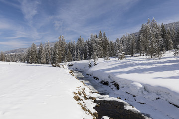 Fototapeta na wymiar Winter landscape in Switzerland with snowy trees and a creek