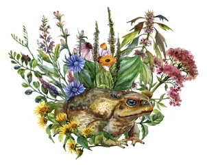 Aquarellattribute der Alchemie. Heilkräuter. © Kate Vigdis