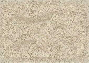 beach sand texture