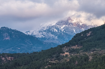 Fototapeta premium Soller valley landscapes, Serra Tramuntana, Majorca (Mallorca), Balearic Islands, Spain